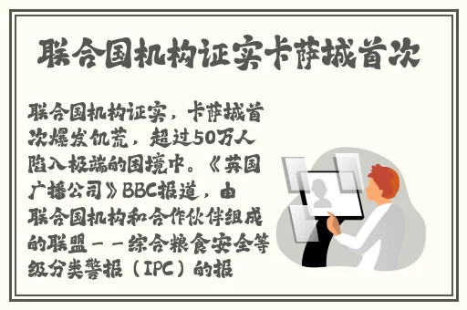 精品久久久久久无码国产